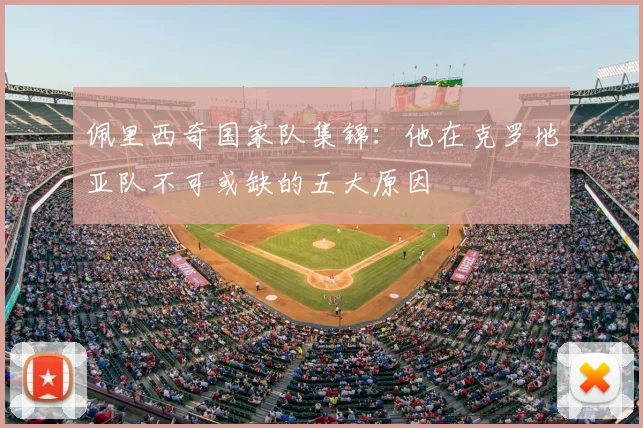 佩里西奇国家队集锦：他在克罗地亚队不可或缺的五大原因